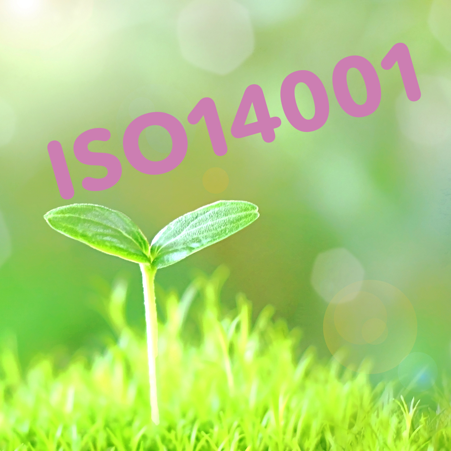 ISO14001